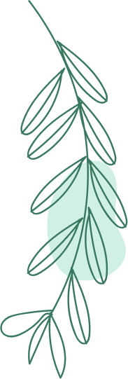 HOME 2 branch01