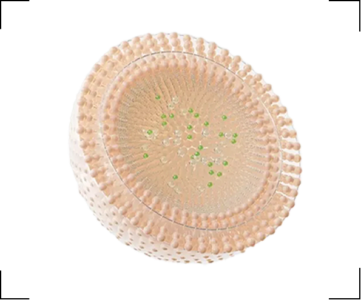 TECNOLOGÍA DE ABSORCIÓN TRANSDÉRMICA A NANOESCALA