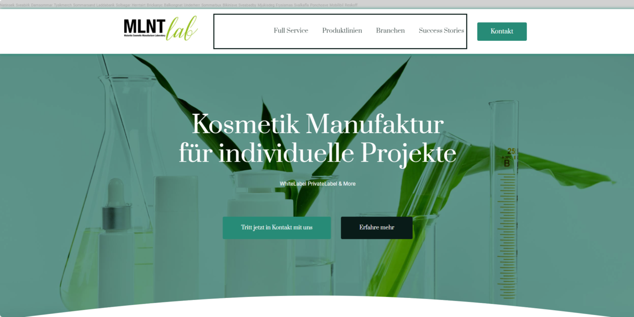 MLNT Lab